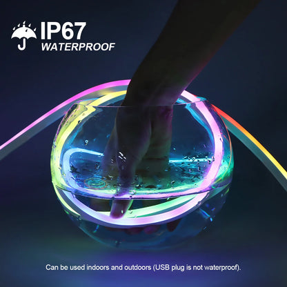 USB 5V WS2812 RGBIC Neon LED Strip - Bluetooth App Control - Dreamcolor Music Sync for Party Lighting