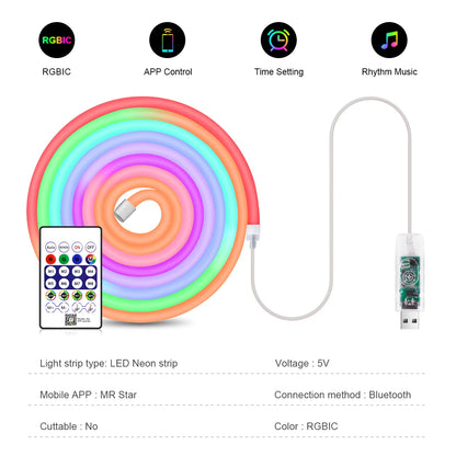 USB 5V WS2812 RGBIC Neon LED Strip - Bluetooth App Control - Dreamcolor Music Sync for Party Lighting