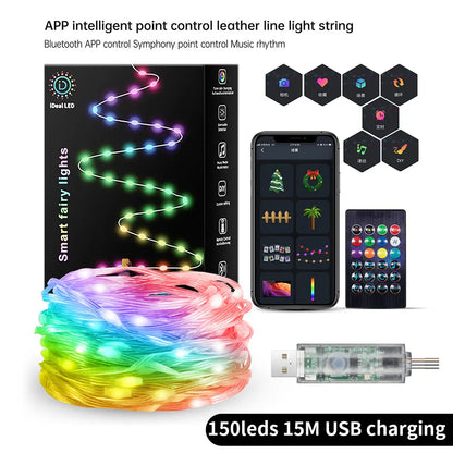 10M RGBIC LED String Lights - Bluetooth USB Music Sync - 5V Dreamcolor Fairy Lights - Christmas Party Home Decor