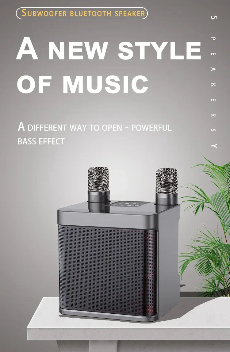 Dual Microphone Karaoke Machine