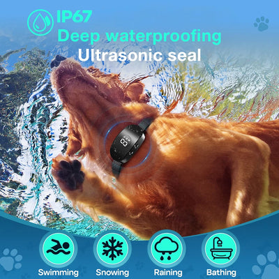 2025New Dog Bark Collar Anti Barking IP67 8 Levels 4 Modes Beep Vibration Eelectric Shock Dog Training Collar for All Sizes Dogs