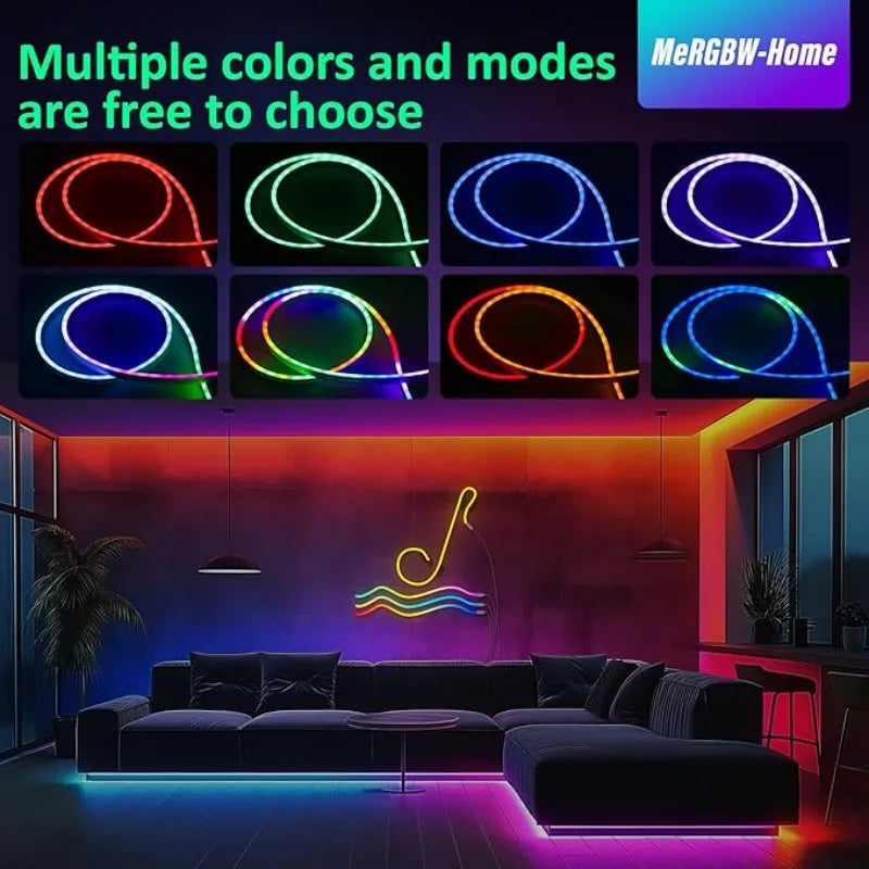 DC 24V RGBIC Neon LED Strip - 72LEDs/M Bluetooth Waterproof IP65 - Outdoor Rope Light with App Control