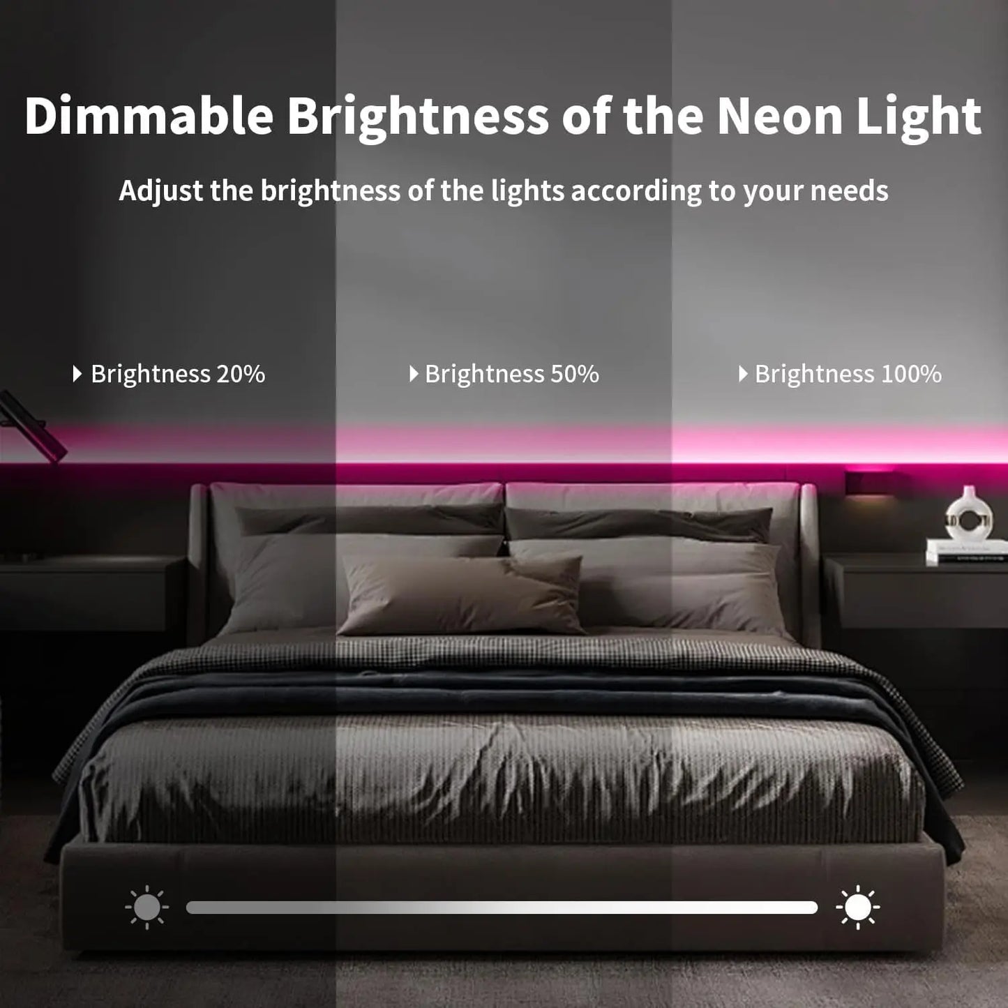 DC 24V RGBIC Neon LED Strip - 72LEDs/M Bluetooth Waterproof IP65 - Outdoor Rope Light with App Control