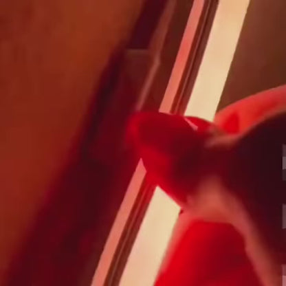 RGBIC Neon LED Strip Light - 24V Bluetooth Smart Control - Waterproof IP65 Outdoor Rope Light